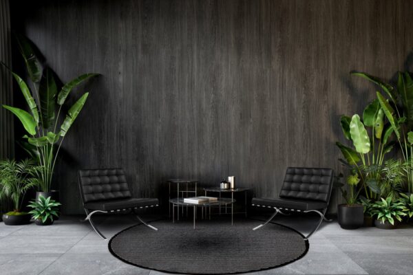 Nuage-rond-spot-1536x864