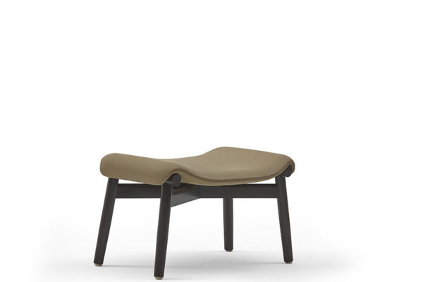 Abl-97101-Ottoman-1